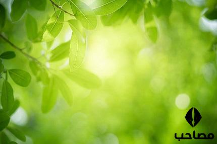 [تصویر:  1629793808_%D8%B1%D9%88%D8%A7%D9%86%D8%B...%D8%B2.jpg]